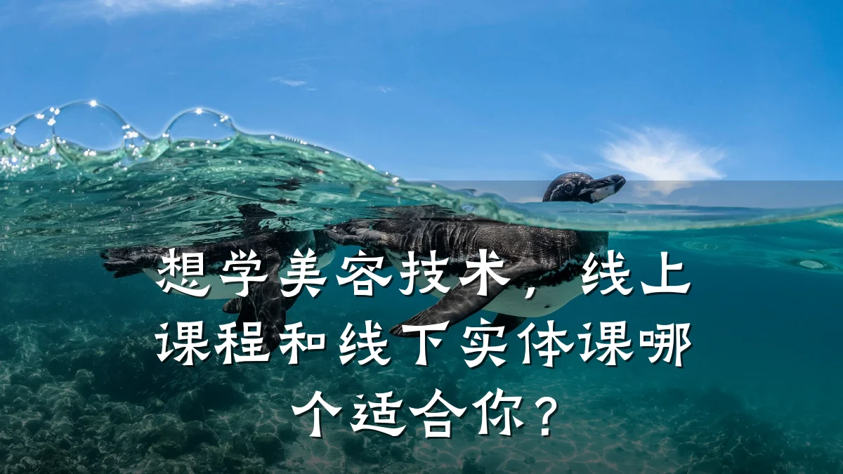 想学美容技术,线上课程和线下实体课哪个适合你?