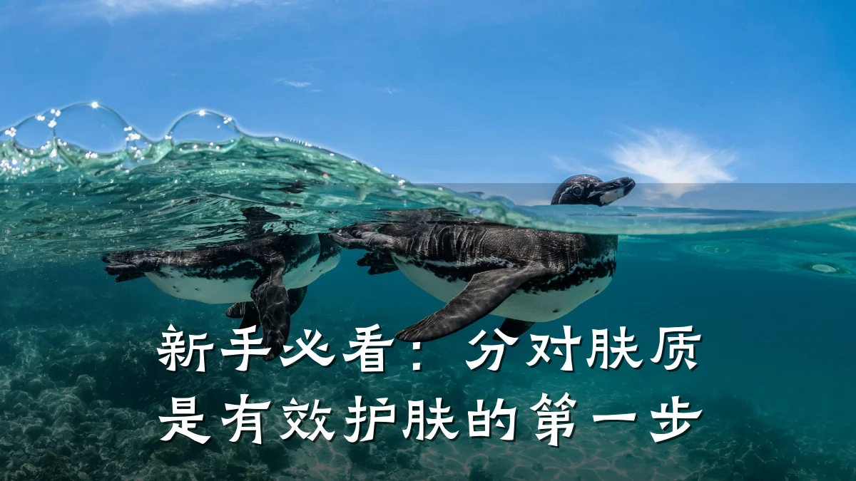 新手必看：分对肤质是有效护肤的第一步