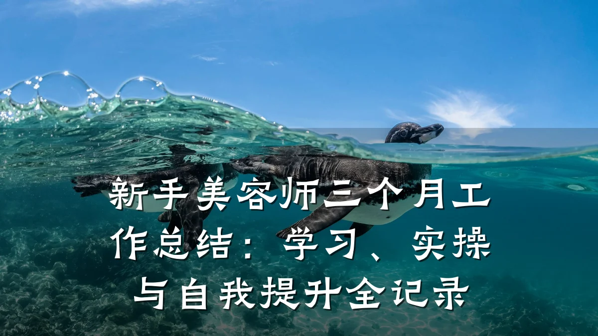 新手美容师三个月工作总结：学习、实操与自我提升全记录
