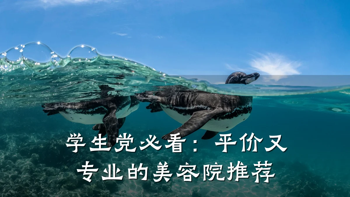 学生党必看:平价又专业的美容院推荐