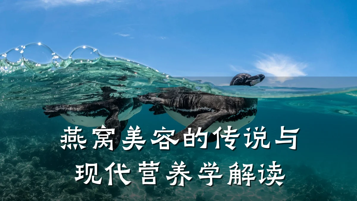 燕窝美容的传说与现代营养学解读