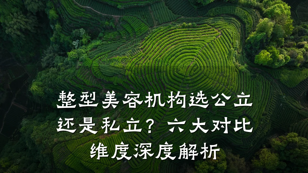 整型美容机构选公立还是私立?六大对比维度深度解析