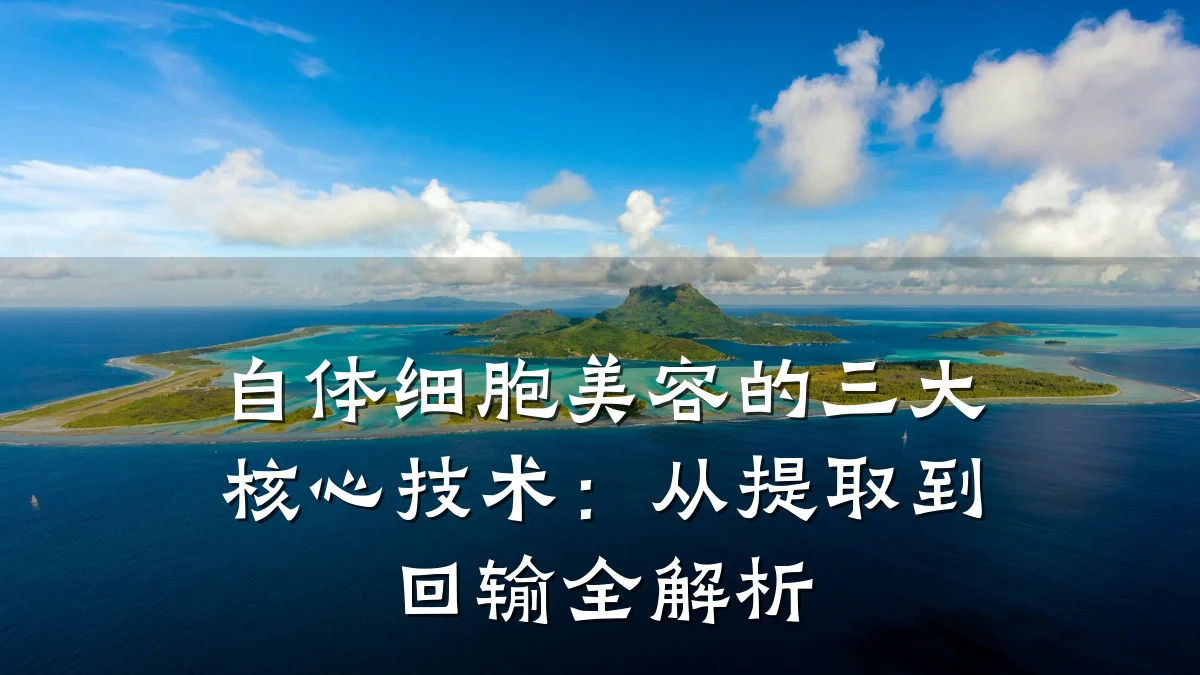自体细胞美容的三大核心技术:从提取到回输全解析