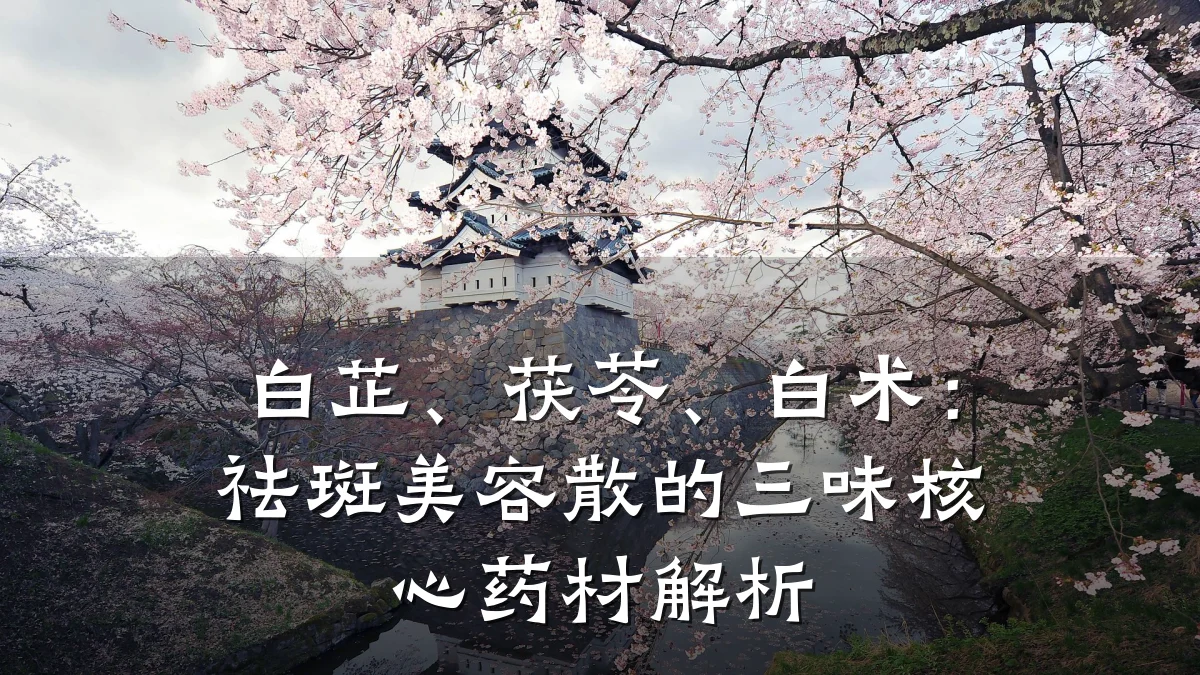白芷、茯苓、白术:祛斑美容散的三味核心药材解析