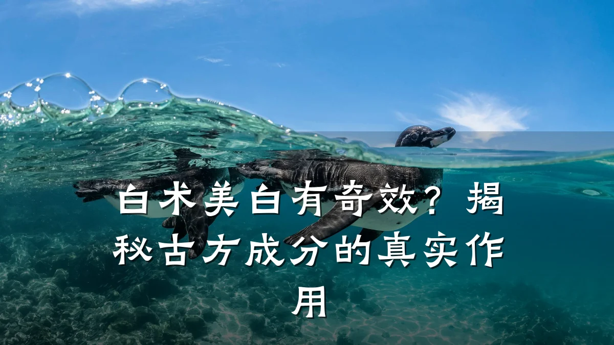 白术美白有奇效?揭秘古方成分的真实作用