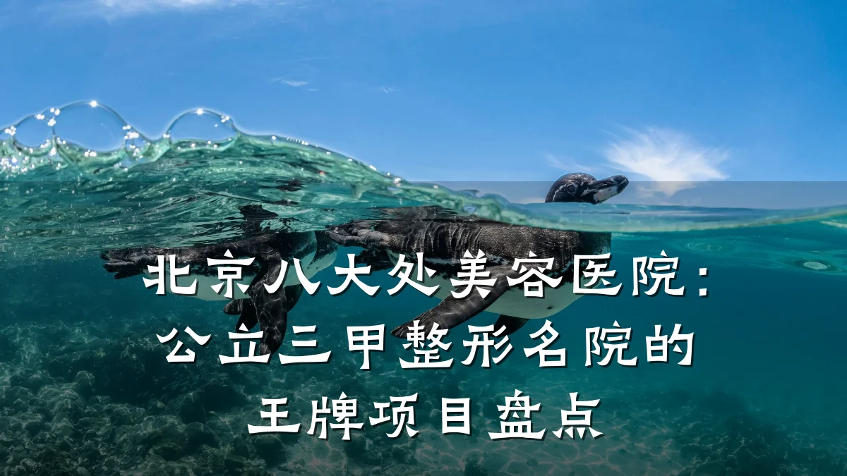 北京八大处美容医院:公立三甲整形名院的王牌项目盘点