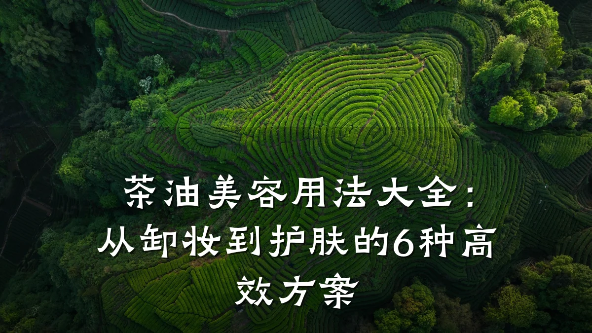 茶油美容用法大全:从卸妆到护肤的6种高效方案