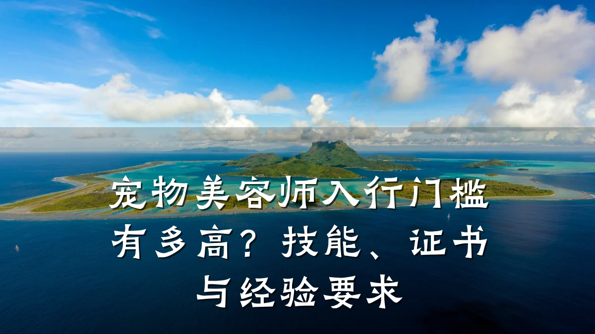 宠物美容师入行门槛有多高?技能、证书与经验要求