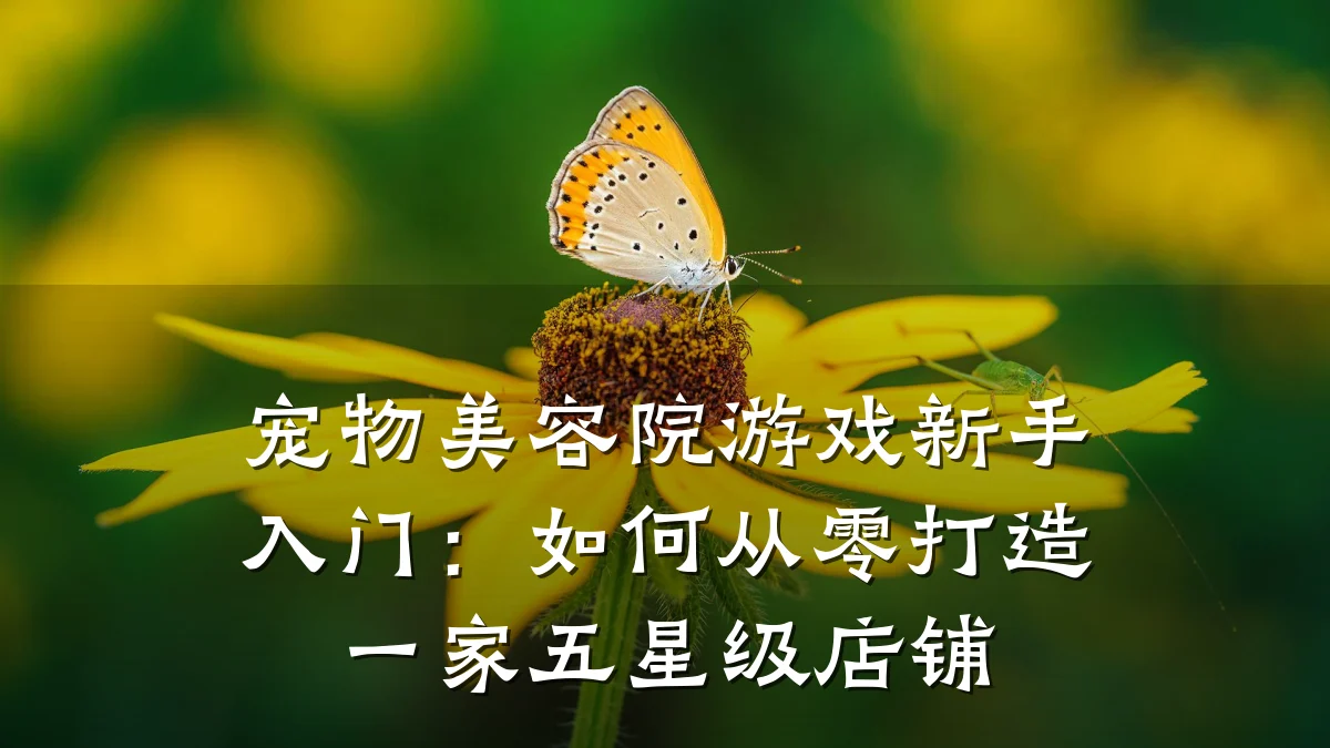 宠物美容院游戏新手入门:如何从零打造一家五星级店铺