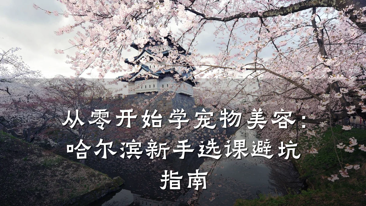 从零开始学宠物美容:哈尔滨新手选课避坑指南