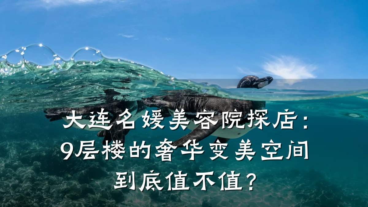 大连名媛美容院探店:9层楼的奢华变美空间到底值不值?