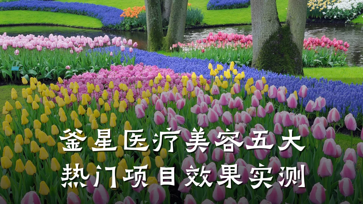 釜星医疗美容五大热门项目效果实测