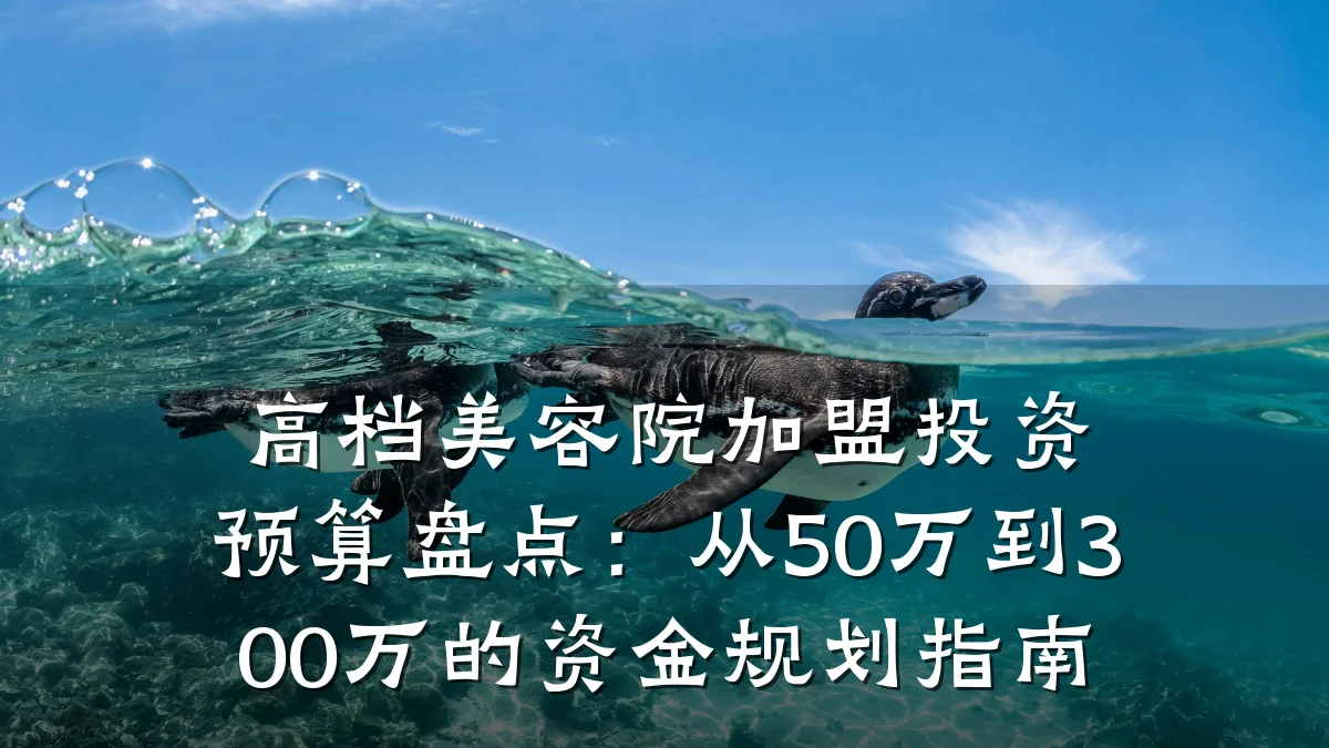 高档美容院加盟投资预算盘点:从50万到300万的资金规划指南