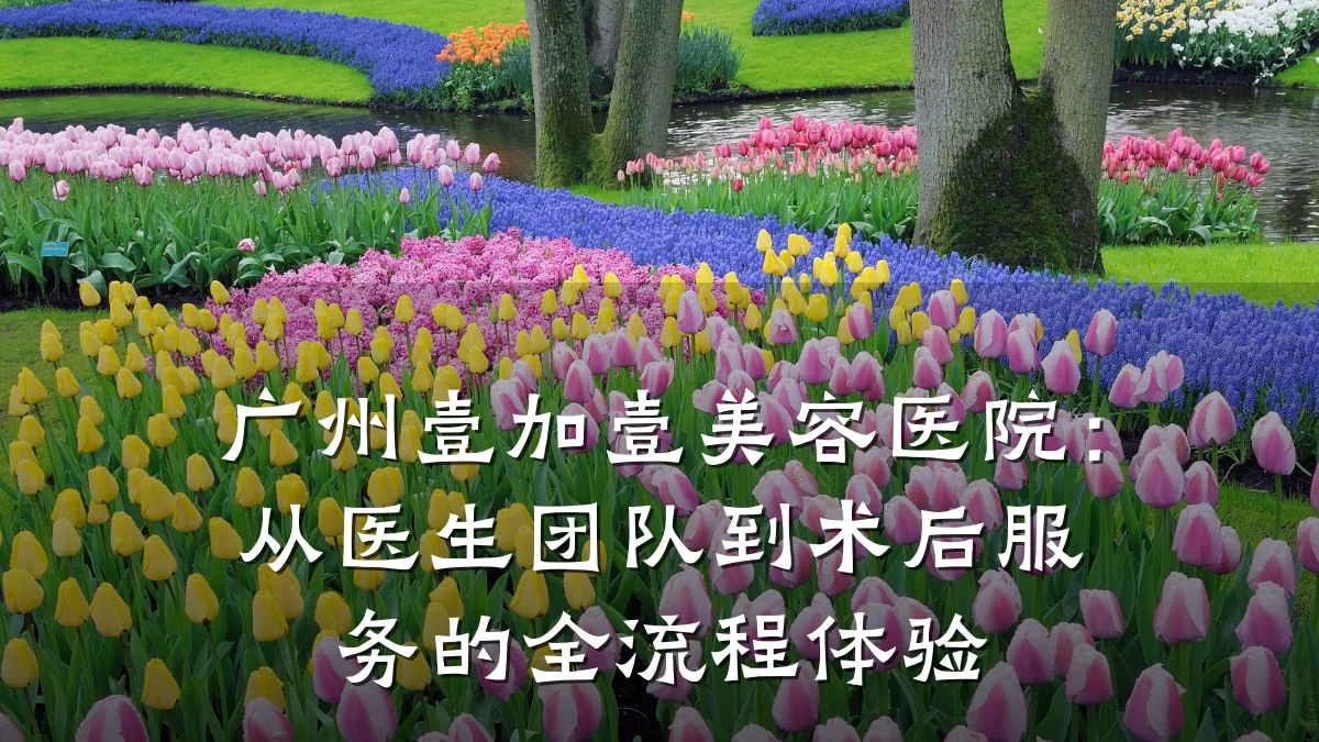 广州壹加壹美容医院:从医生团队到术后服务的全流程体验