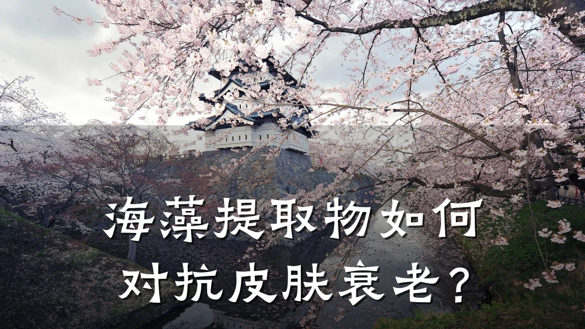 海藻提取物如何对抗皮肤衰老?