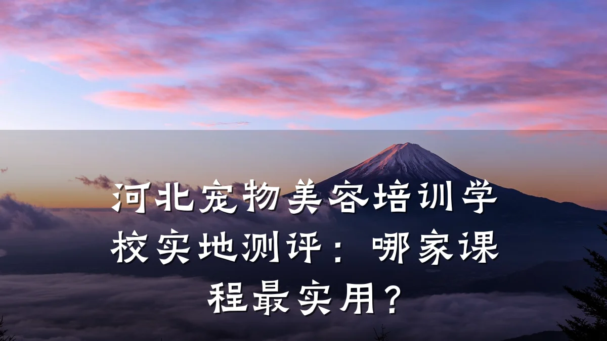 河北宠物美容培训学校实地测评:哪家课程最实用?