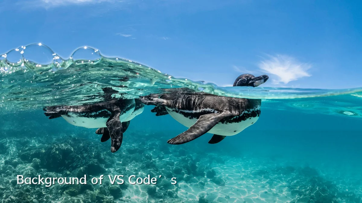 Background of VS Code’s