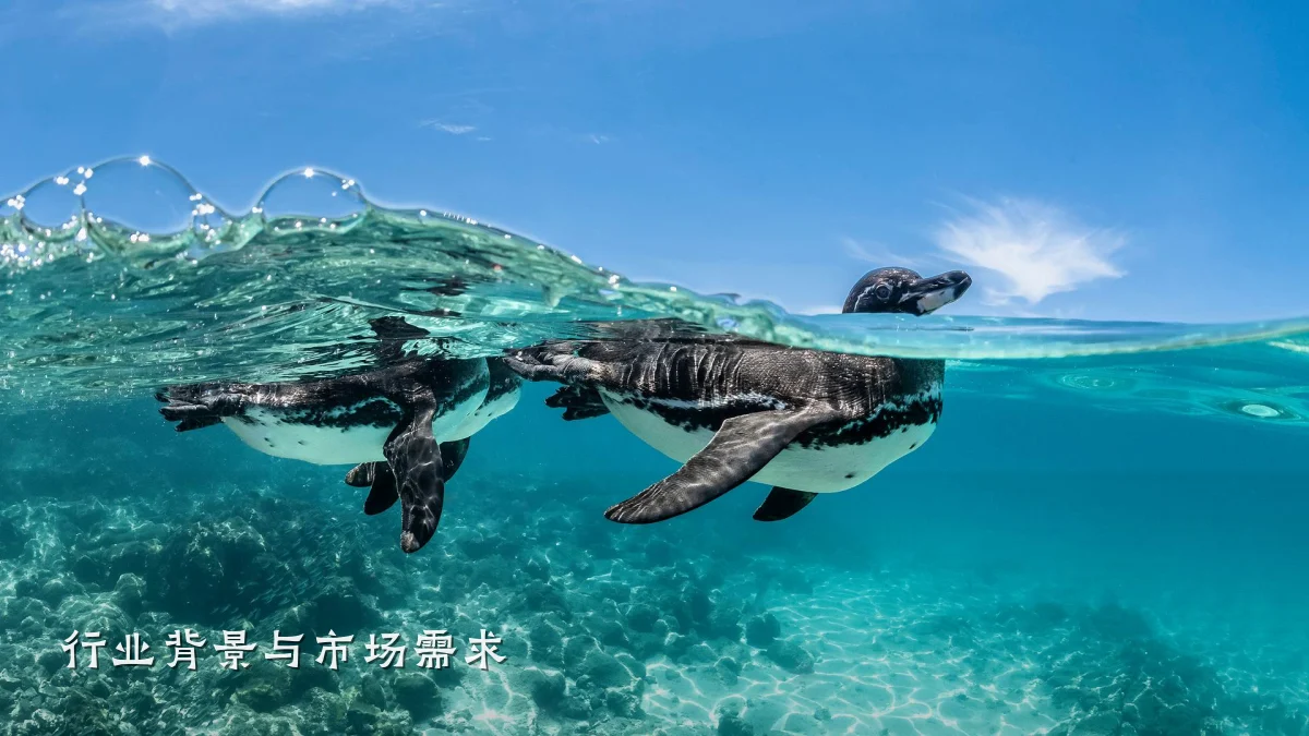 行业背景与市场需求