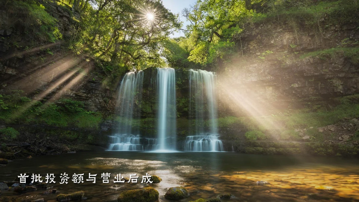首批投资额与营业后成