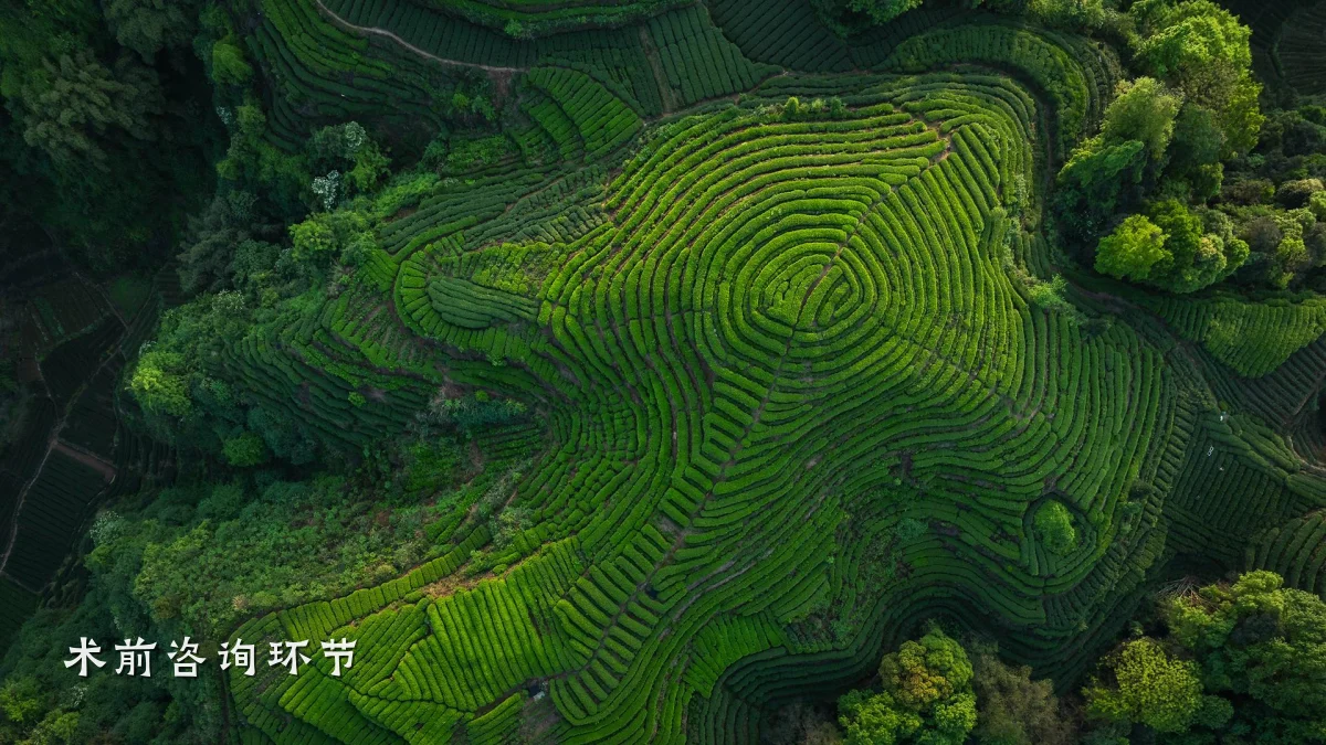 术前咨询环节