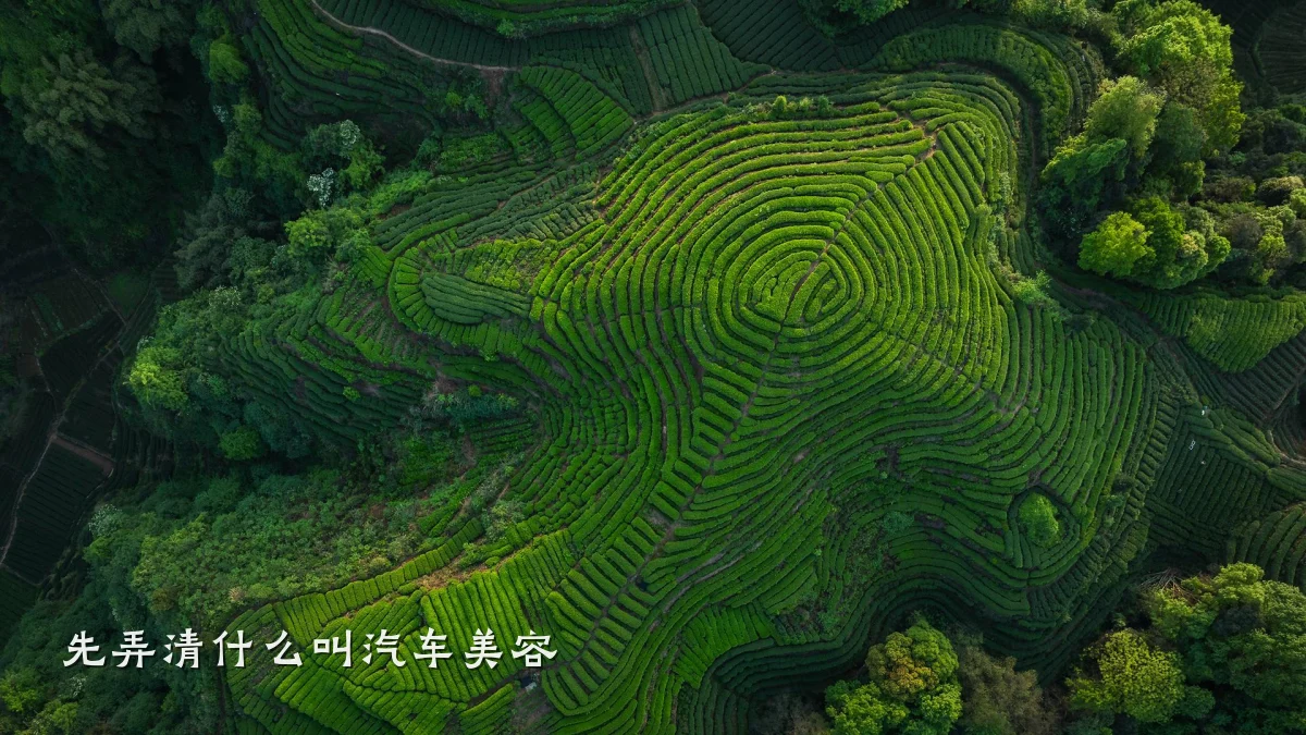 先弄清什么叫汽车美容