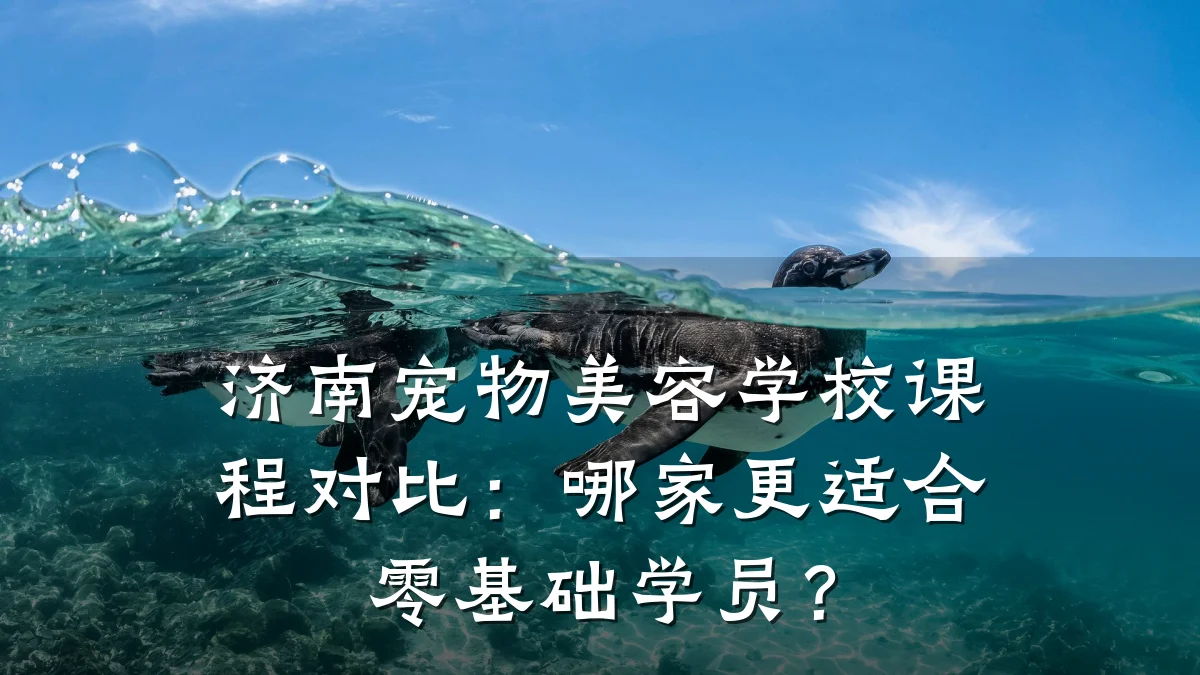 济南宠物美容学校课程对比:哪家更适合零基础学员?