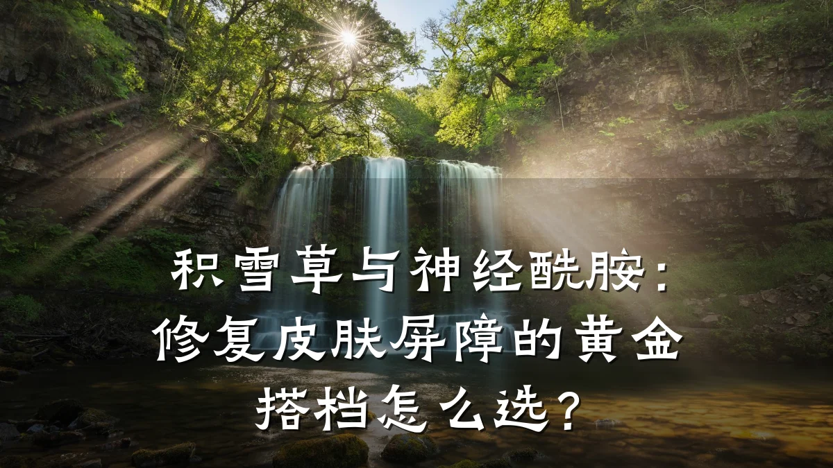 积雪草与神经酰胺:修复皮肤屏障的黄金搭档怎么选?