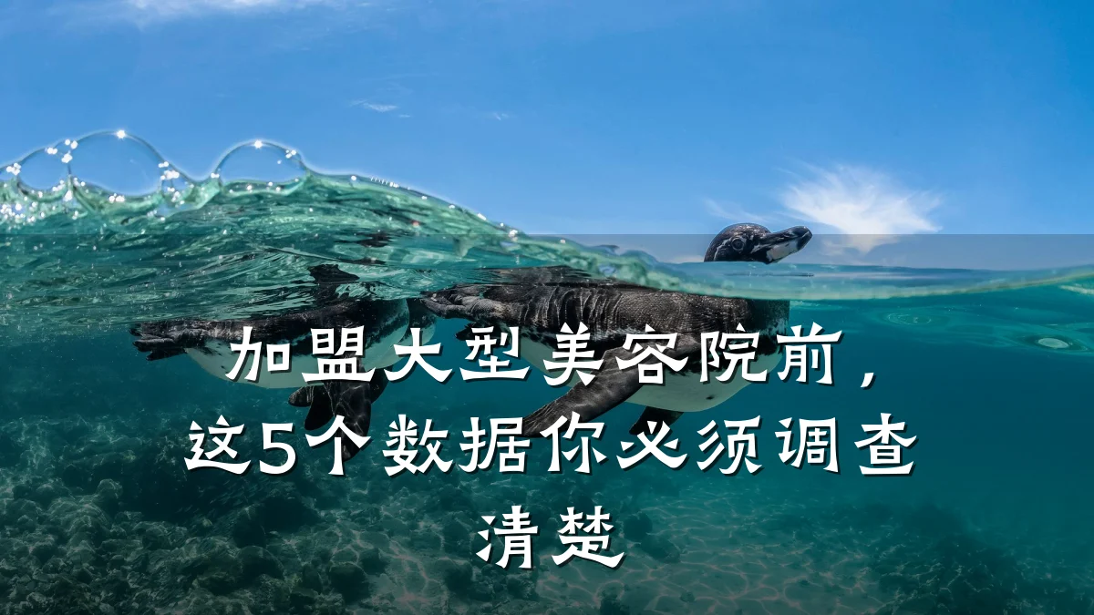 加盟大型美容院前,这5个数据你必须调查清楚