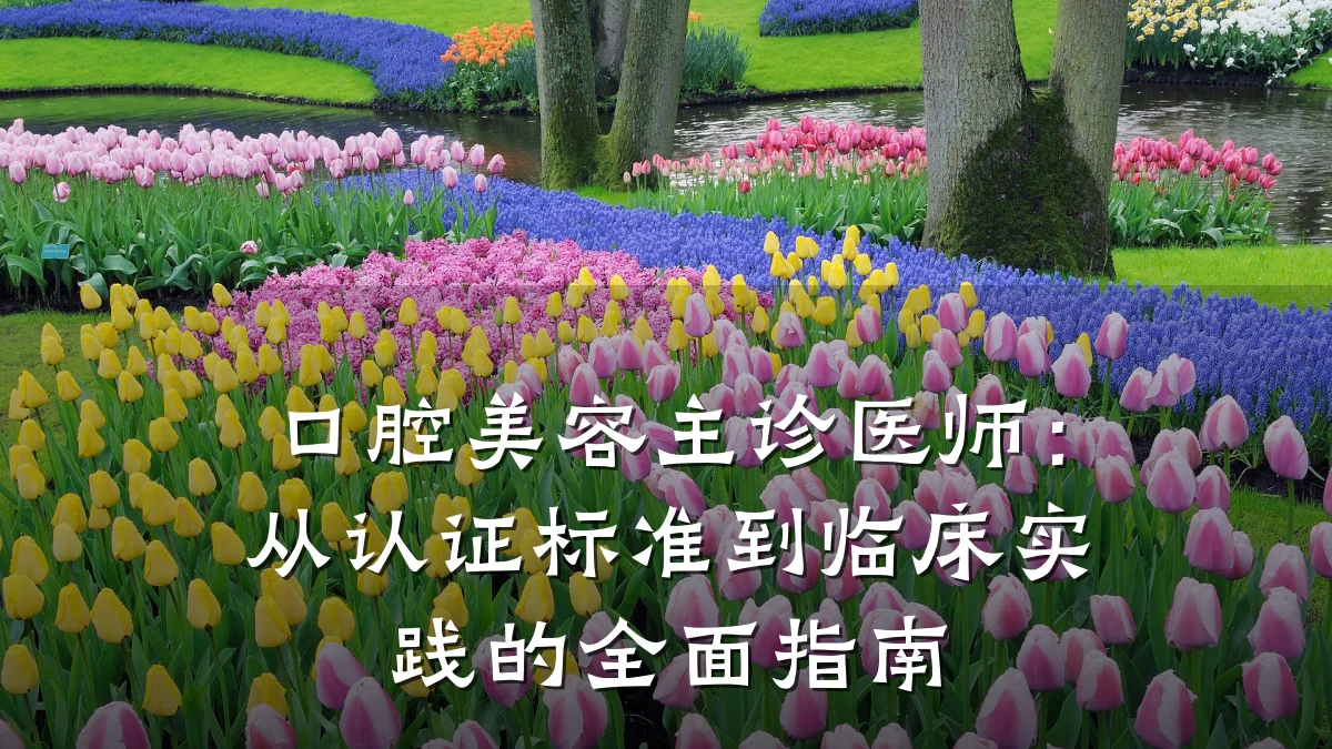 口腔美容主诊医师:从认证标准到临床实践的全面指南