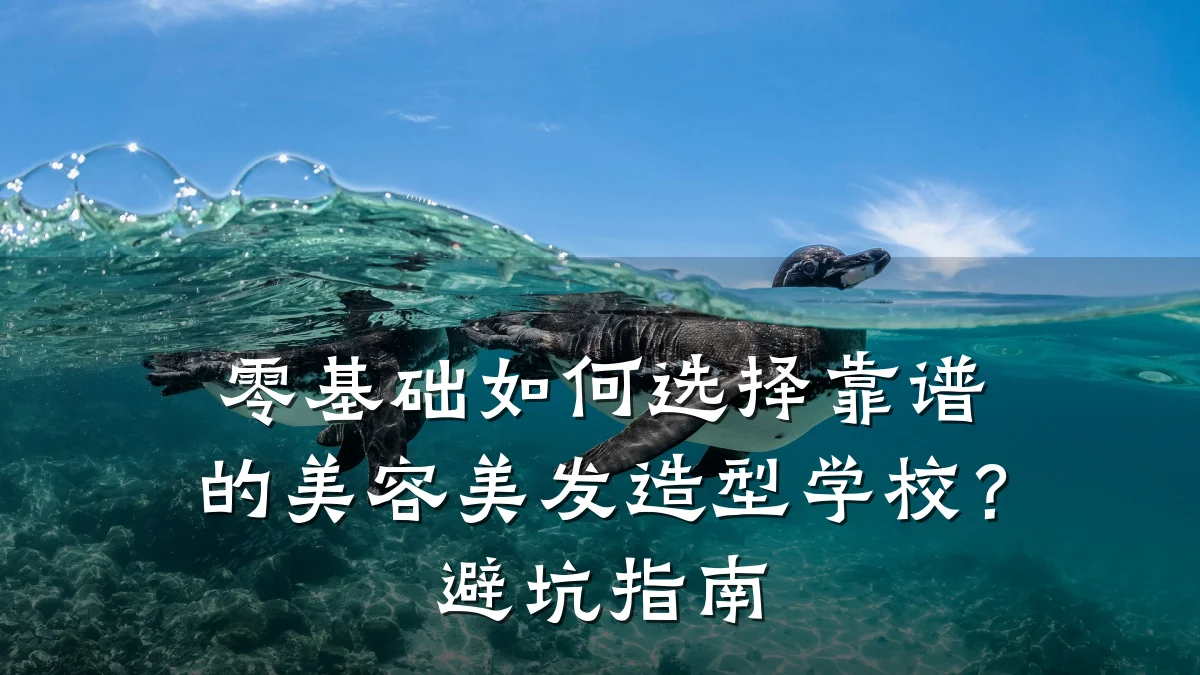 零基础如何选择靠谱的美容美发造型学校?避坑指南