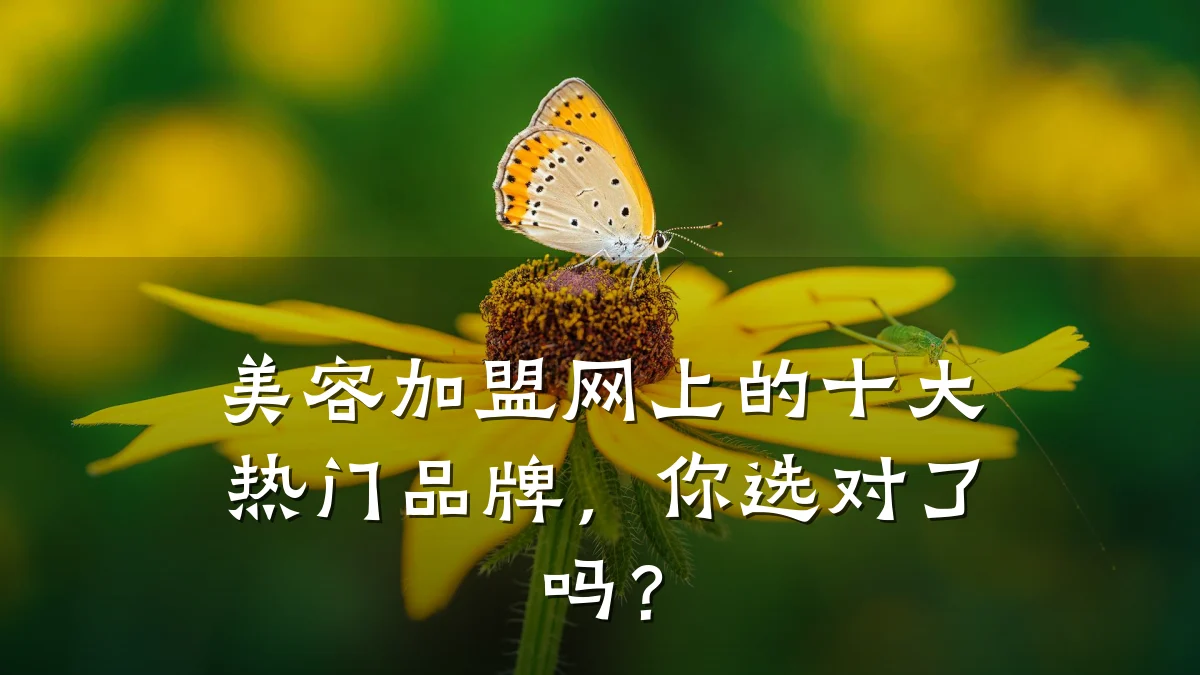 美容加盟网上的十大热门品牌,你选对了吗?