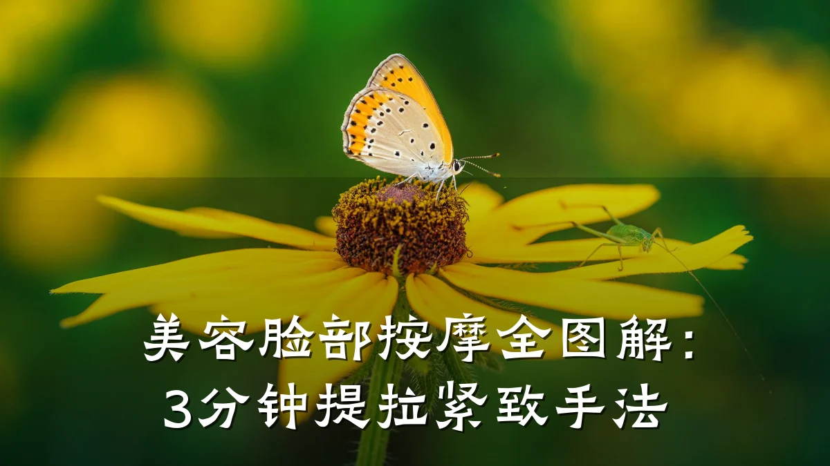 美容脸部按摩全图解:3分钟提拉紧致手法