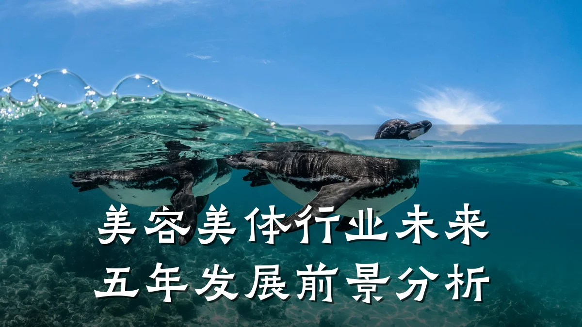 美容美体行业未来五年发展前景分析