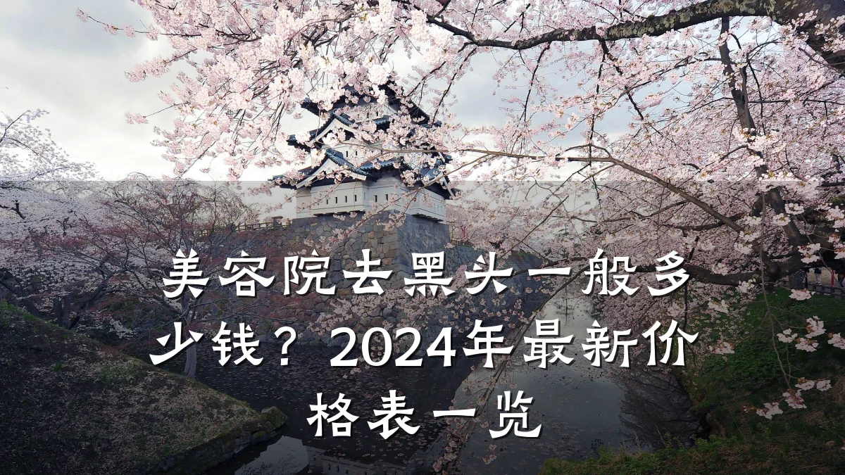 美容院去黑头一般多少钱?2024年最新价格表一览