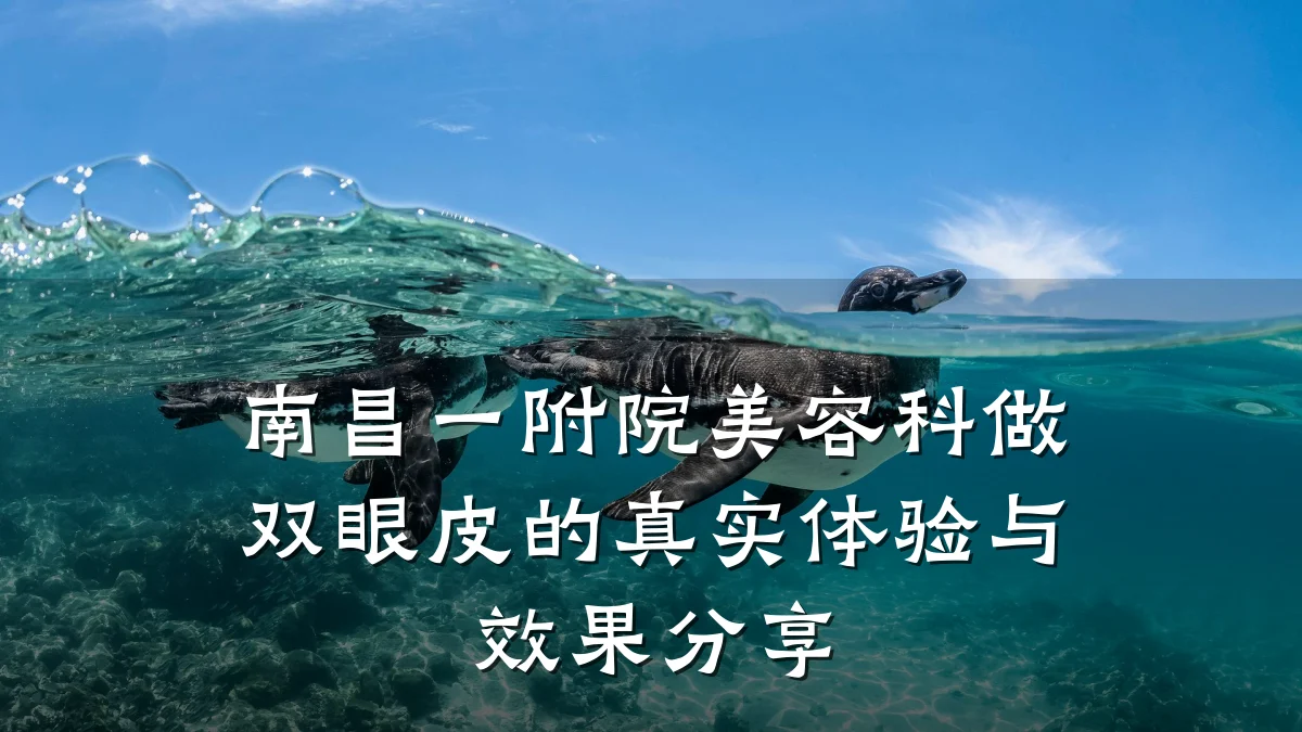 南昌一附院美容科做双眼皮的真实体验与效果分享
