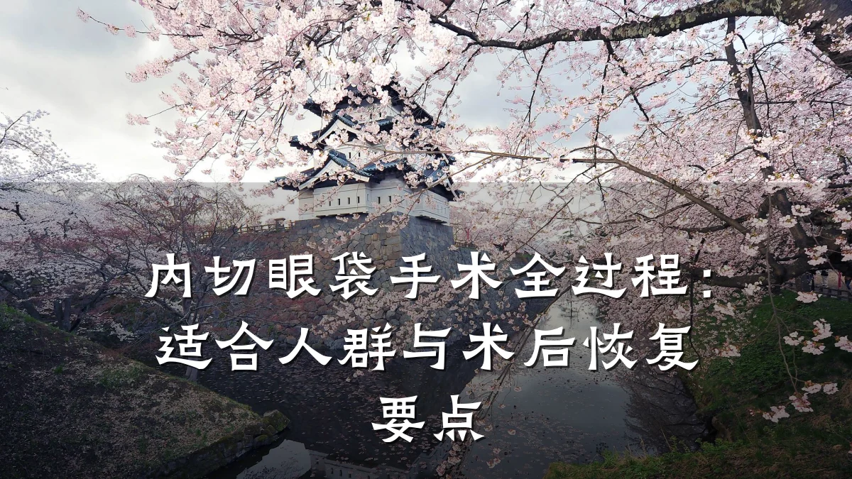 内切眼袋手术全过程:适合人群与术后恢复要点