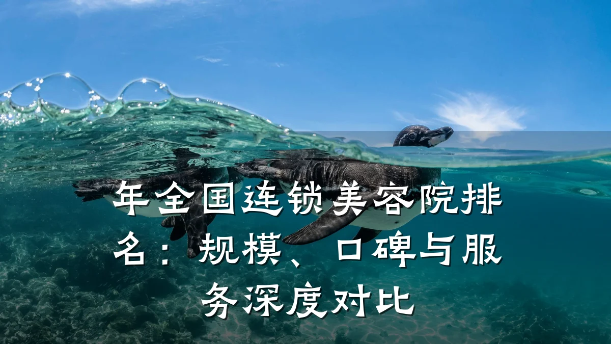 年全国连锁美容院排名:规模、口碑与服务深度对比