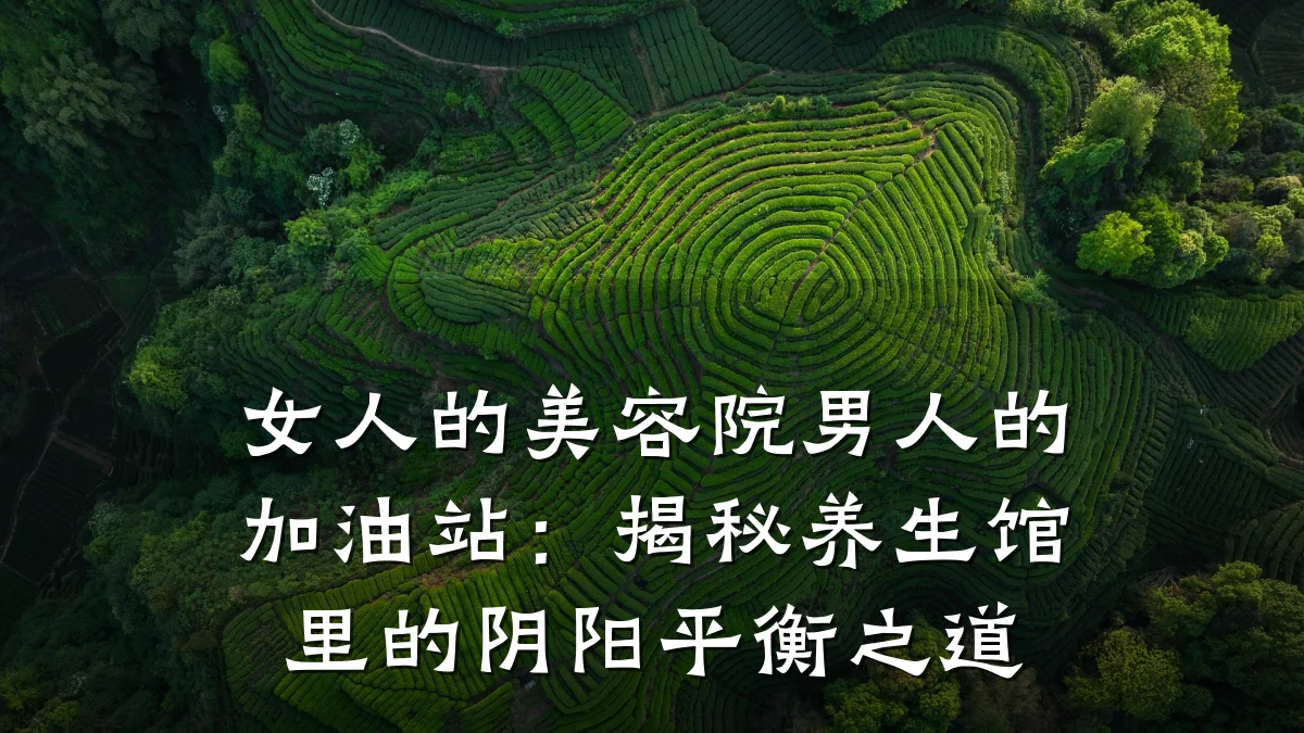 女人的美容院男人的加油站:揭秘养生馆里的阴阳平衡之道