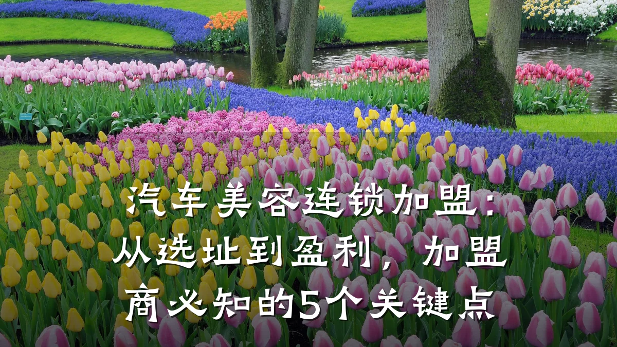 汽车美容连锁加盟:从选址到盈利,加盟商必知的5个关键点