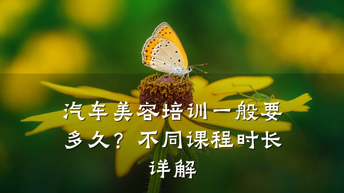 汽车美容培训一般要多久?不同课程时长详解