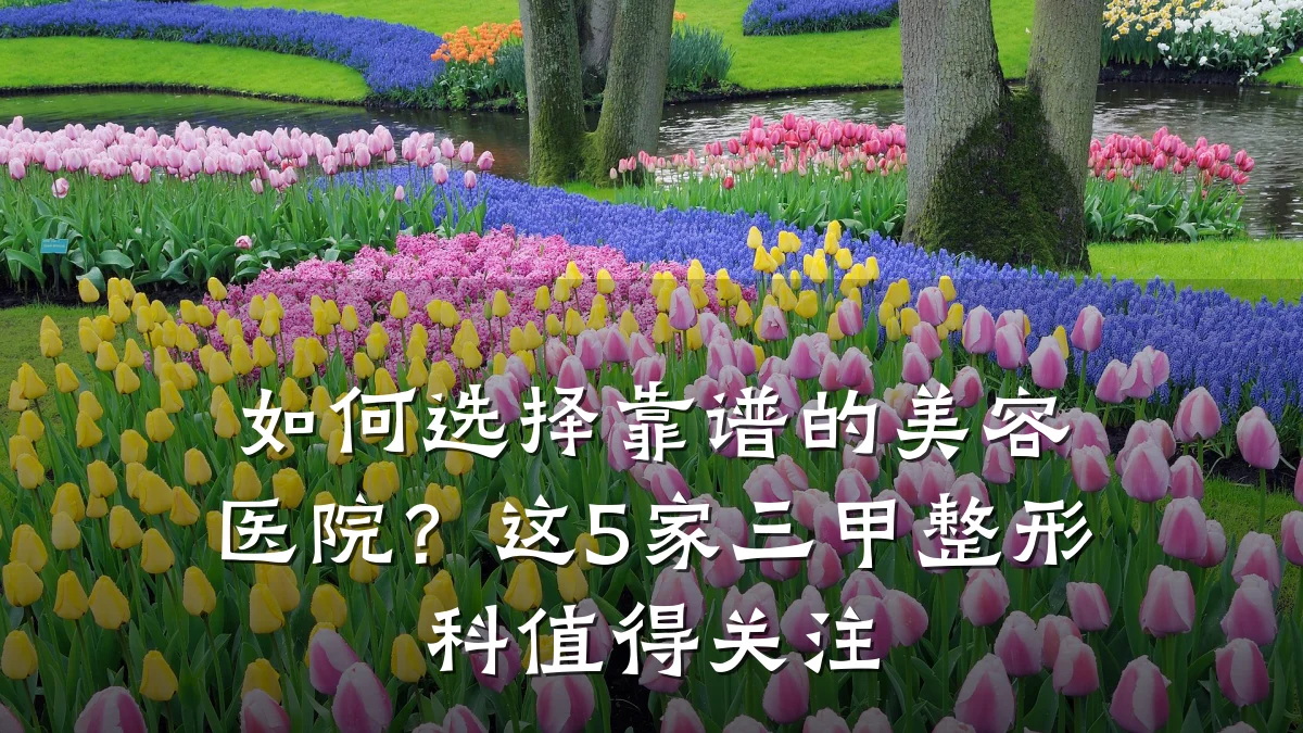 如何选择靠谱的美容医院?这5家三甲整形科值得关注