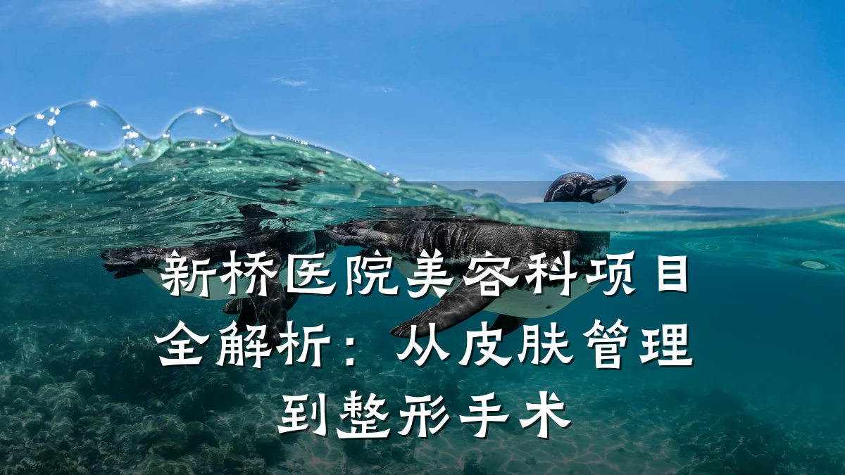 新桥医院美容科项目全解析:从皮肤管理到整形手术