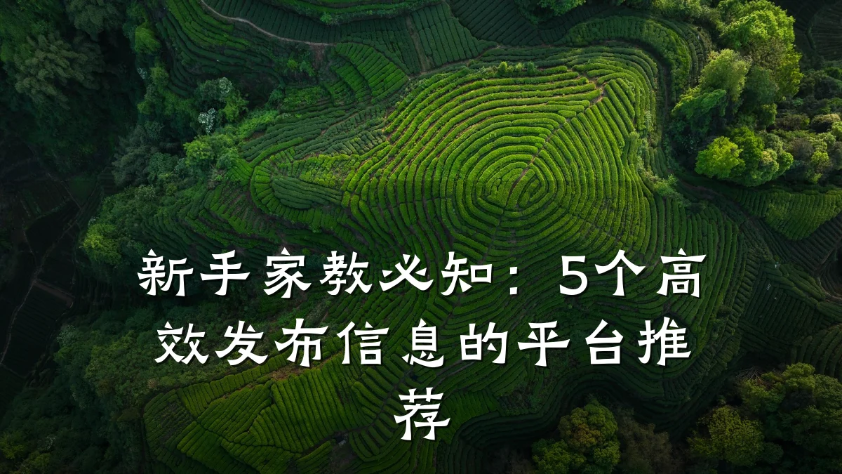 新手家教必知:5个高效发布信息的平台推荐