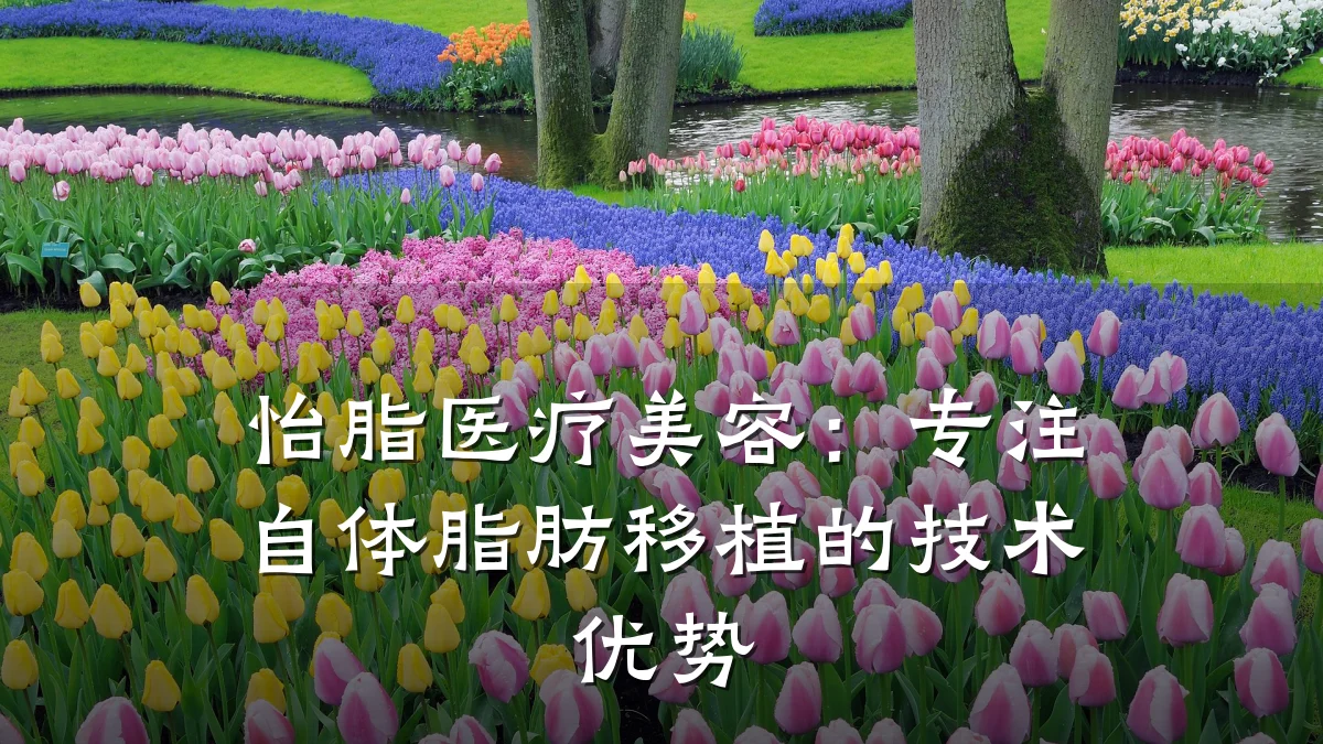 怡脂医疗美容:专注自体脂肪移植的技术优势