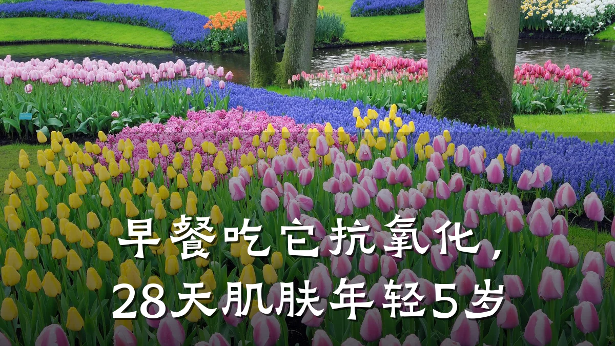 早餐吃它抗氧化,28天肌肤年轻5岁