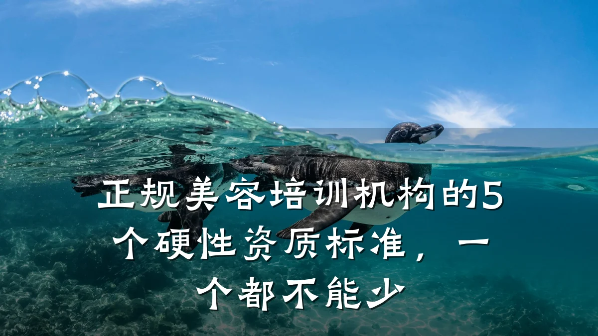 正规美容培训机构的5个硬性资质标准,一个都不能少