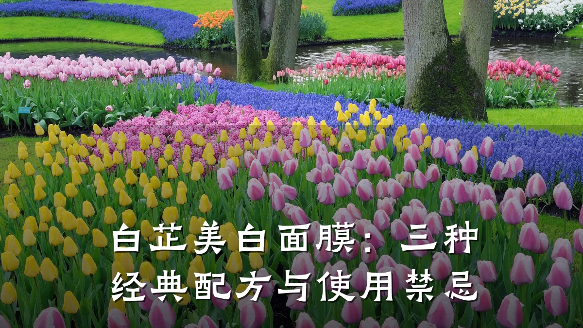 白芷美白面膜:三种经典配方与使用禁忌