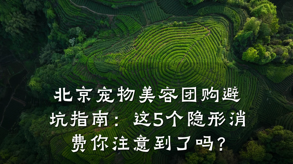 北京宠物美容团购避坑指南:这5个隐形消费你注意到了吗?