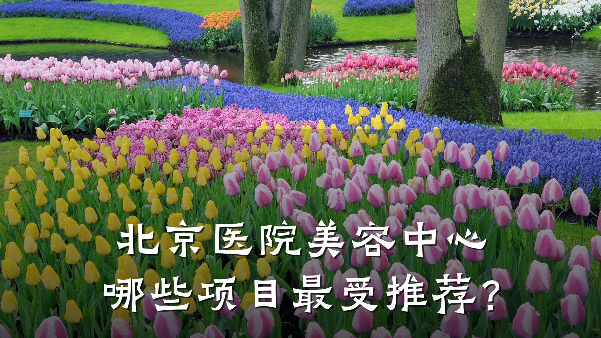 北京医院美容中心哪些项目最受推荐?