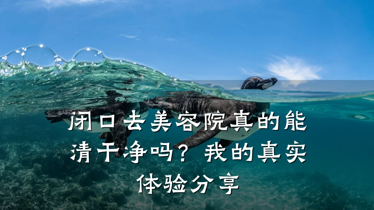 闭口去美容院真的能清干净吗?我的真实体验分享